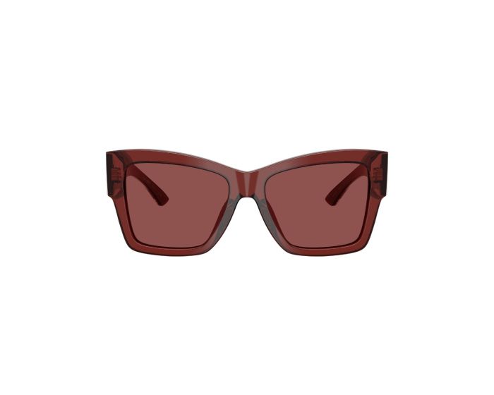 DOLCE & GABBANA 4493 304575 55